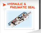 Hydraulic&Pneumatic seal